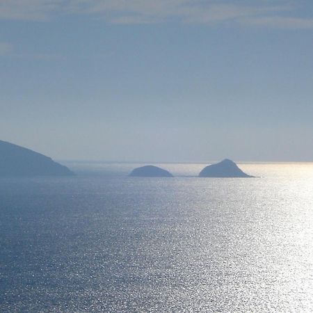 Villasoledad Appartamenti Per Vacanze カポリーヴェリ エクステリア 写真