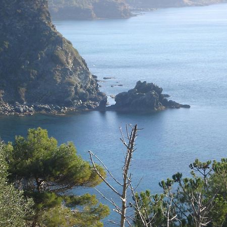 Villasoledad Appartamenti Per Vacanze カポリーヴェリ エクステリア 写真